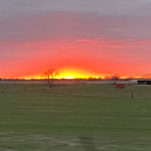 Meet your Posher, Katlyn